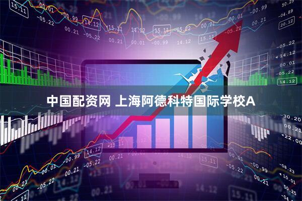 中国配资网 上海阿德科特国际学校A