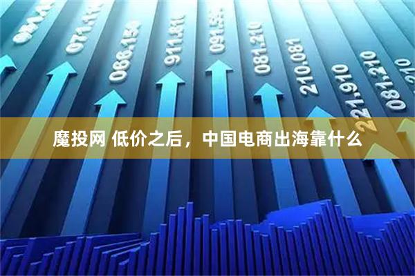 魔投网 低价之后，中国电商出海靠什么