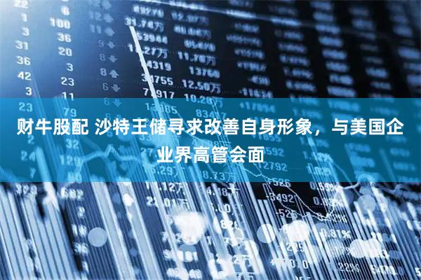 财牛股配 沙特王储寻求改善自身形象，与美国企业界高管会面