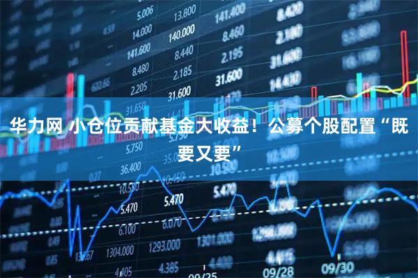 华力网 小仓位贡献基金大收益！公募个股配置“既要又要”